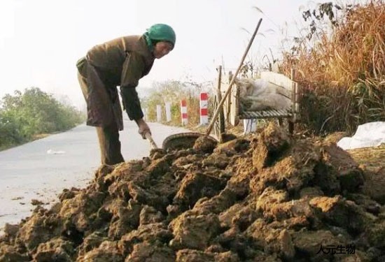 有機(jī)肥料有什么作用呢？無機(jī)肥和有機(jī)肥該如何選擇
