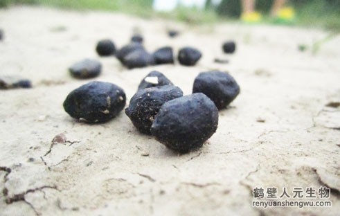 有機(jī)肥是什么，有機(jī)肥的原材料來(lái)源于哪里