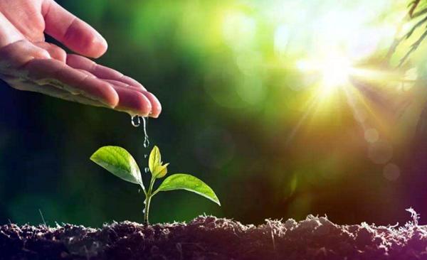 在購買有機肥應(yīng)注意哪些？