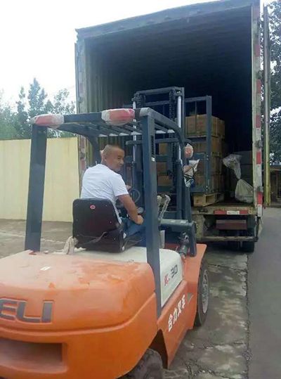 誘蟲板出貨，發(fā)貨現(xiàn)場圖5