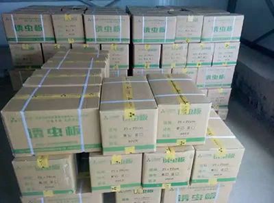 誘蟲板出貨，發(fā)貨現(xiàn)場圖3