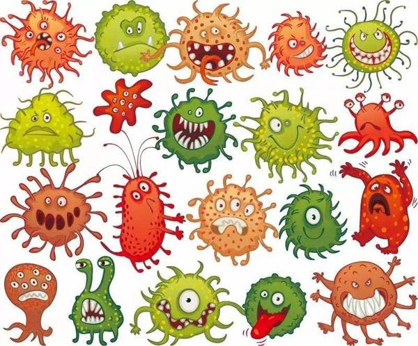 枯草芽孢桿菌_神奇的【枯草芽孢桿菌】菌肥都離不開你！