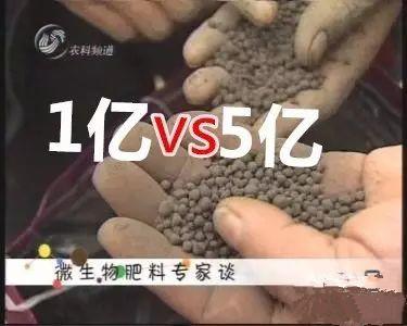 生物菌肥_菌肥_到底是5億好還是1億的好！