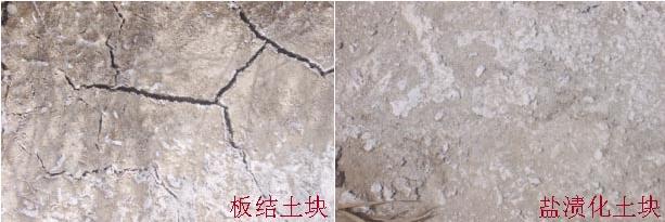 【關(guān)注】農(nóng)業(yè)部為什么大力推廣有機(jī)肥：有機(jī)肥的長(zhǎng)期不足、缺失破壞了土壤結(jié)構(gòu)