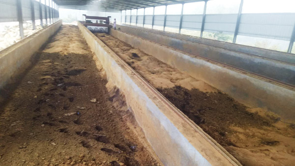 年產(chǎn)量5000噸豬糞有機肥生產(chǎn)線設(shè)備多少錢？