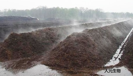 糞肥利用是豬糞處理常用方案，卻很難推廣應(yīng)用，原因是什么？