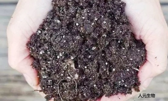 使用土壤調(diào)理劑時(shí)需要注意哪些？