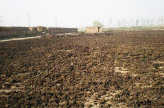 生產(chǎn)一噸豬糞有機肥料需要幾噸豬糞？