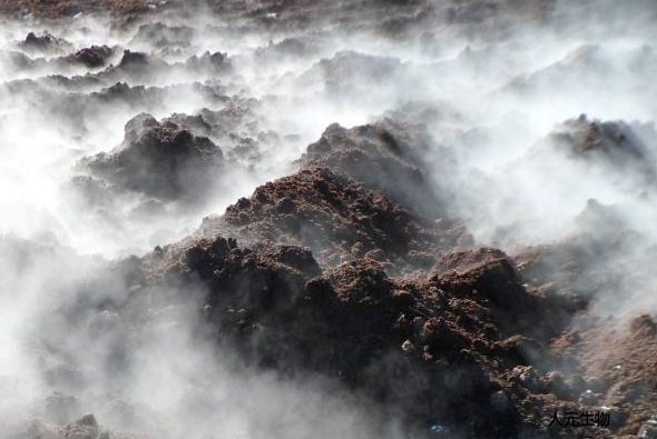 有機肥應該發(fā)酵多少天，需要經(jīng)歷幾個階段？