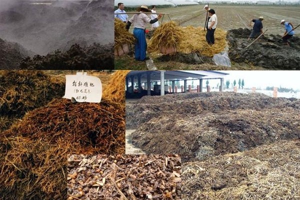 秸稈有機(jī)肥需要怎樣發(fā)酵好？