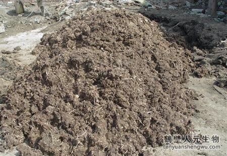 豬糞有機(jī)肥如何發(fā)酵？
