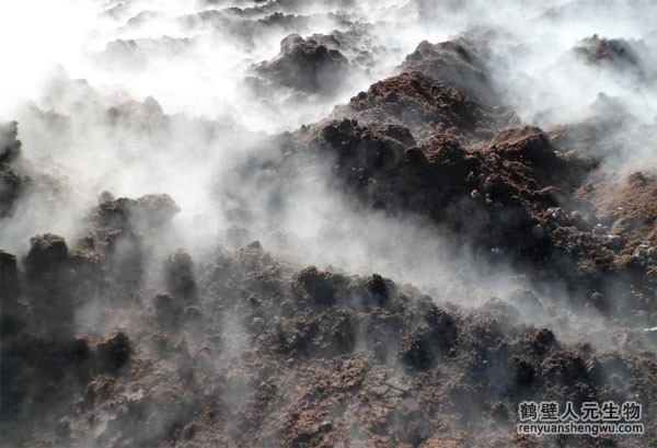 有機(jī)肥市場前景究竟如何