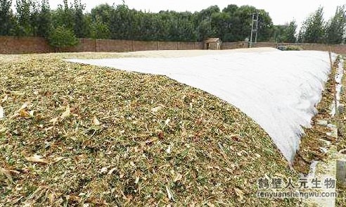 雞糞怎么處理？人元生物來幫忙