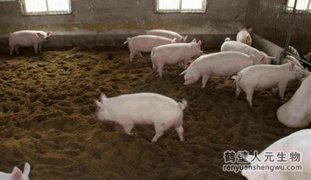 動(dòng)物糞便的成分究竟是什么？