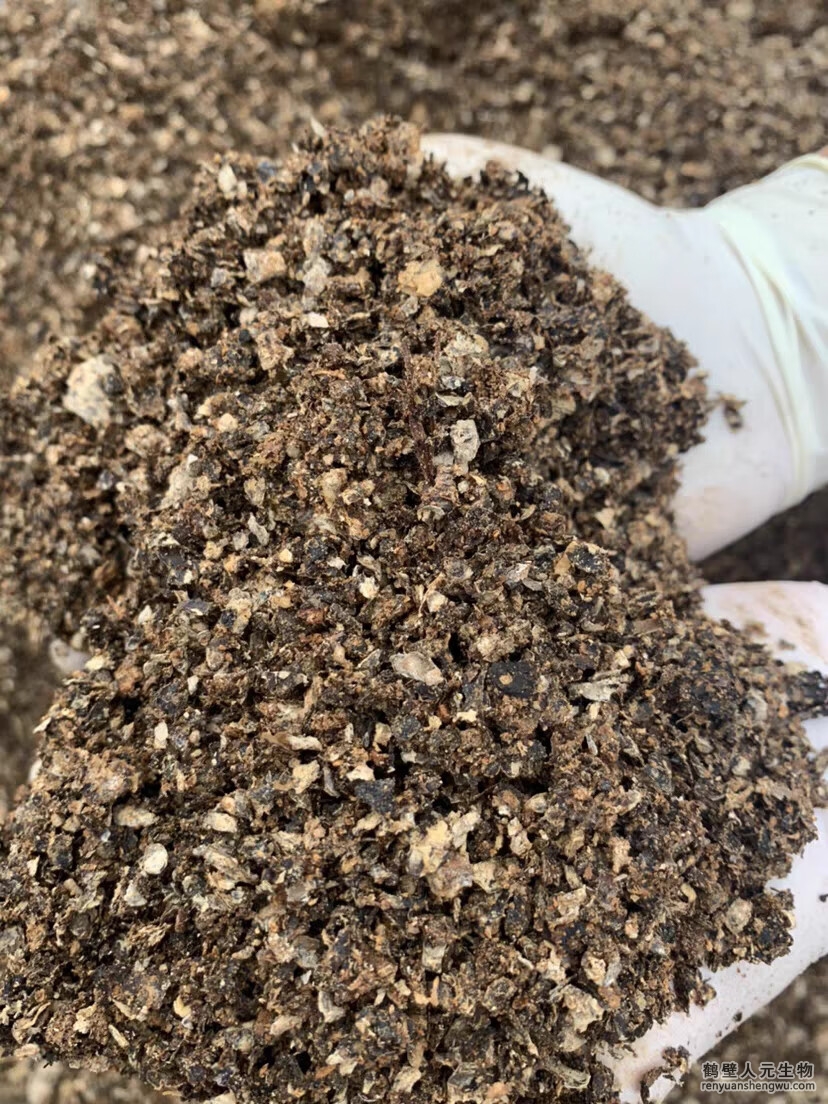 蘑菇渣的營養(yǎng)成份真的一樣嗎？