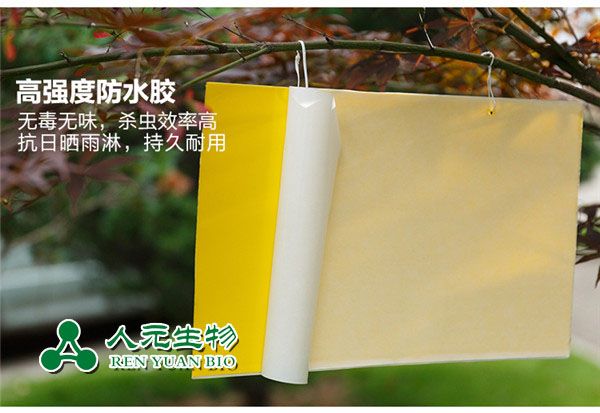 誘蟲板的誘殺原理及使用方法 誘蟲板的誘殺原理及使用方法
