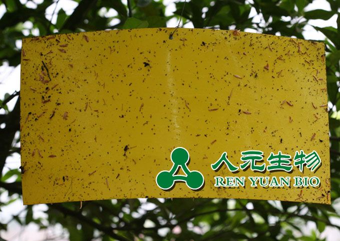 誘蟲板的誘殺原理及使用方法 誘蟲板的誘殺原理及使用方法