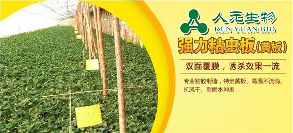 誘蟲板的誘殺原理及使用方法 誘蟲板的誘殺原理及使用方法