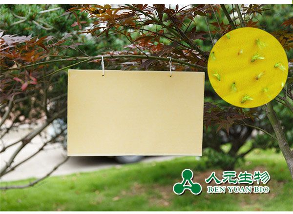 誘蟲板的誘殺原理及使用方法 誘蟲板的誘殺原理及使用方法