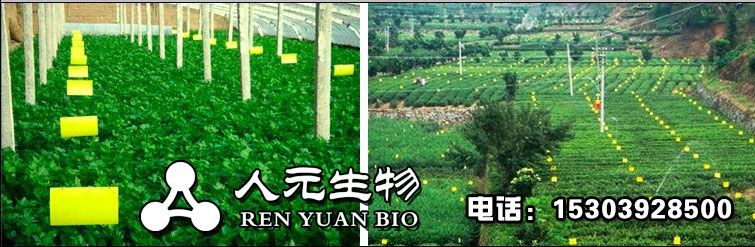 塑料大棚使用粘蟲板的正確打開模式 塑料大棚使用粘蟲板的正確打開模式