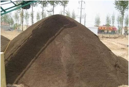 草莓種植施用什么肥料好，如何施肥？