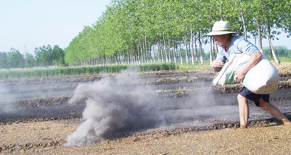 鉀肥是什么肥料，鉀肥的種類有哪些？