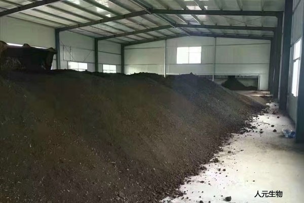 在施用菌肥時有哪些常見的預(yù)防措施？