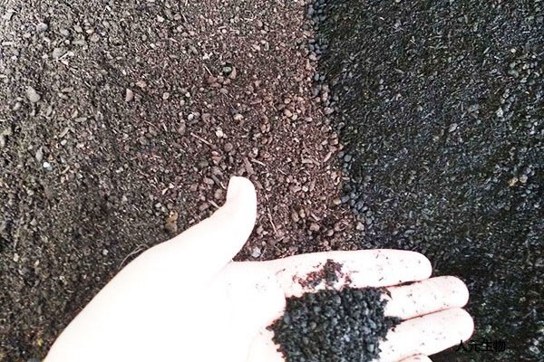 在施用菌肥時有哪些常見的預(yù)防措施？
