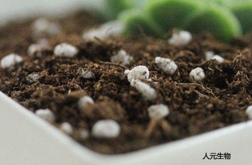 有機(jī)肥生產(chǎn)廠家教你如何鑒別有機(jī)肥的品質(zhì)？