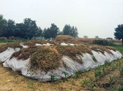 雞糞是怎么發(fā)酵的？雞糞有機(jī)肥發(fā)酵的具體方法和步驟