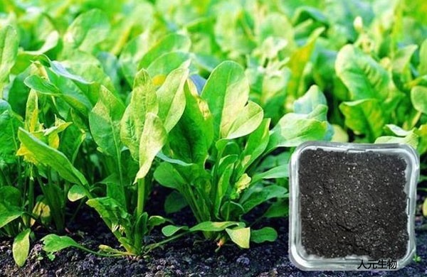 發(fā)酵完成后的微生物肥料如何使用才正確，需要注意哪些？