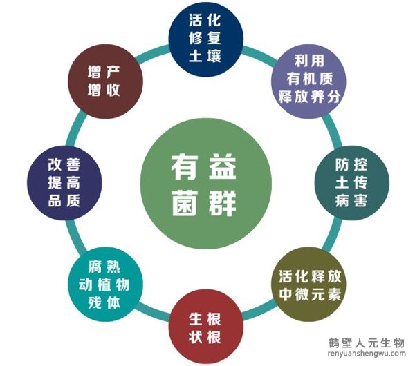 都說(shuō)微生物菌劑產(chǎn)品貴，你卻不知道土壤微生物到底有多重要！