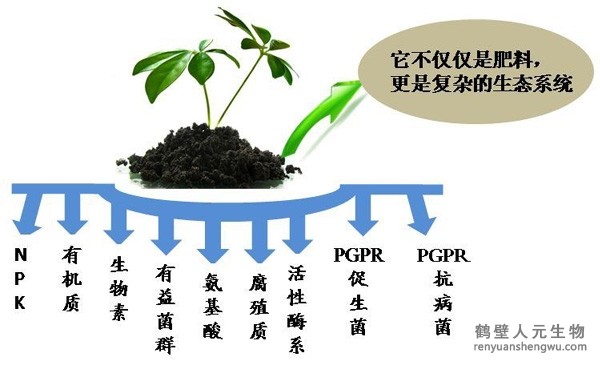 都說(shuō)微生物菌劑產(chǎn)品貴，你卻不知道土壤微生物到底有多重要！