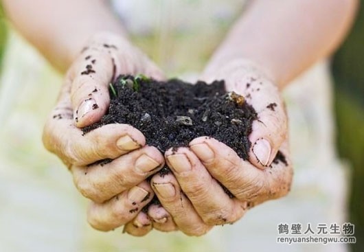 關于有機肥與復合肥你必須知道的那些事