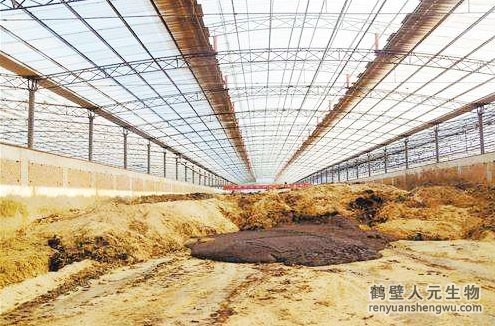 養(yǎng)牛場(chǎng)如何利用牛糞和有機(jī)肥設(shè)備致富 養(yǎng)牛場(chǎng)如何利用牛糞和有機(jī)肥設(shè)備致富