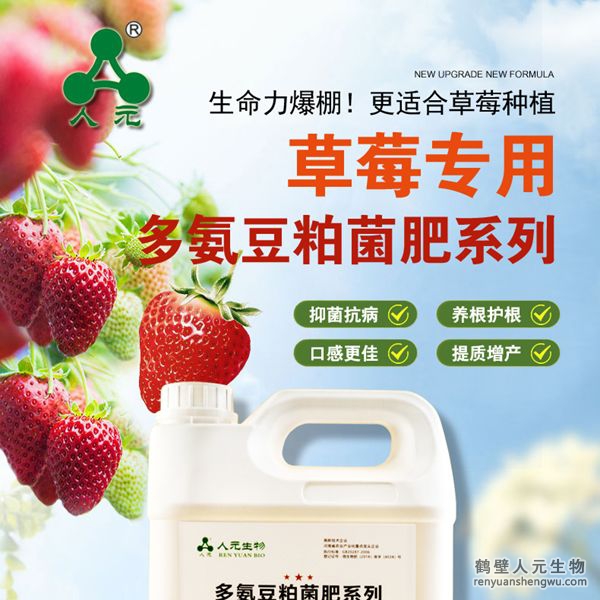 多氨豆粕菌肥系列草莓專用肥由河南省微生物菌劑工程技術(shù)研究中心研制，鶴壁市人元生物技術(shù)發(fā)展有限公司生產(chǎn)，本品是以固態(tài)發(fā)酵豆粕為主要原料，豆粕經(jīng)過有益微生物菌種發(fā)酵分解，充分釋放游離氨基酸，同時(shí)輔以枯草、地衣、膠凍樣芽孢桿菌等有益菌群。