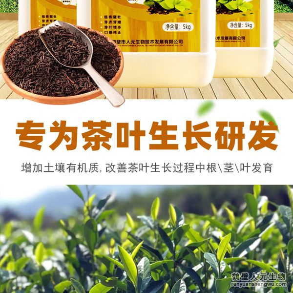 可增加根部須根數(shù)量，提高作物的附著能力；使作物主根粗壯、須根濃密，加速作物對(duì)養(yǎng)分的吸收；富含的有益菌具有固氮、解磷、解鉀功能，有效釋放土壤中的速效養(yǎng)分，提高肥料利用率，增加茶葉產(chǎn)量。