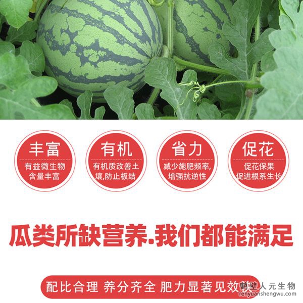 提高肥料利用率，增加瓜類(lèi)產(chǎn)量，提高授粉率和坐瓜率，減少生理性落花落果，使幼瓜迅速增大；成熟果實(shí)個(gè)大均勻、果肉密實(shí)、色澤鮮艷、嬌嫩多汁、口感好、甜度高、提高品質(zhì)，增加產(chǎn)量，減少瓜類(lèi)土傳病害發(fā)生蔓延。