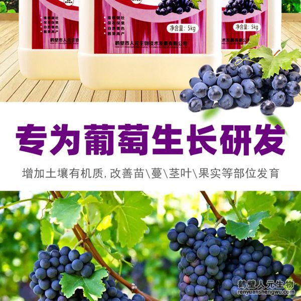 可有效增加根部須根數(shù)量，提高作物的附著能力；使作物主根粗壯、須根濃密，加速作物對(duì)養(yǎng)分的吸收；