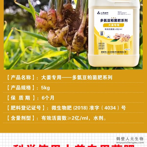 提高大姜膨產(chǎn)活力，姜多、姜大，姜面光滑，姜型健壯，提高品質(zhì)，對(duì)姜腐敗（姜瘟)有好的防治作用。并能提高改善大姜口感，使大姜辛辣清香味道純。使果面潔凈、色澤誘人、口感上佳，并能提早果實(shí)上市時(shí)間。