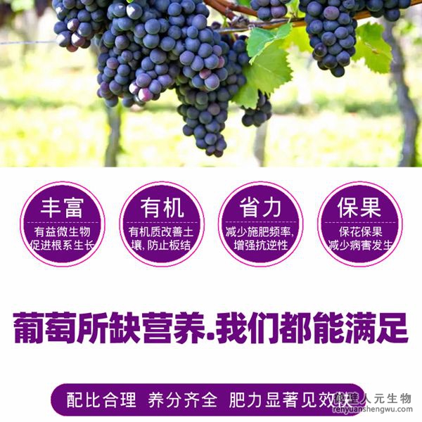 富含的有益菌具有固氮、解磷、解鉀功能，有效釋放土壤中的速效養(yǎng)分，提高肥料利用率，增加葡萄產(chǎn)量，提高葡萄抗逆能力，減少霜霉病、白粉病、炭疽病的發(fā)生。