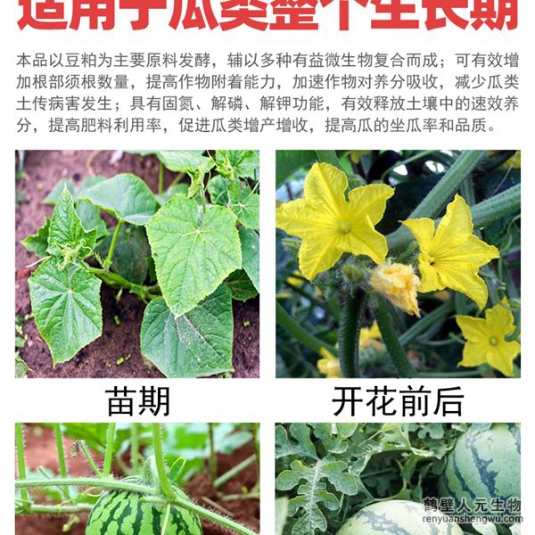 多氨豆粕菌肥系列瓜類(lèi)專(zhuān)用肥適用范圍：適用于西瓜、甜瓜、哈密瓜等瓜類(lèi)作物。