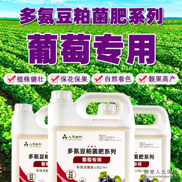 多氨豆粕菌肥系列葡萄專用肥由河南省微生物菌劑工程技術(shù)研究中心研制，鶴壁市人元生物技術(shù)發(fā)展有限公司生產(chǎn)，本品是以固態(tài)發(fā)酵豆粕為主要原料，豆粕經(jīng)過(guò)有益微生物菌種發(fā)酵分解，充分釋放游離氨基酸，同時(shí)輔以枯草、地衣、膠凍樣芽孢桿菌等有益菌群。