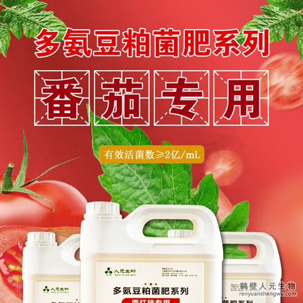 多氨豆粕菌肥系列西紅柿專用肥由河南省微生物菌劑工程技術(shù)研究中心研制，鶴壁市人元生物技術(shù)發(fā)展有限公司生產(chǎn)，本品是以固態(tài)發(fā)酵豆粕為主要原料，豆粕經(jīng)過有益微生物菌種發(fā)酵分解，充分釋放游離氨基酸，同時輔以枯草、地衣、膠凍樣芽孢桿菌等有益菌群。