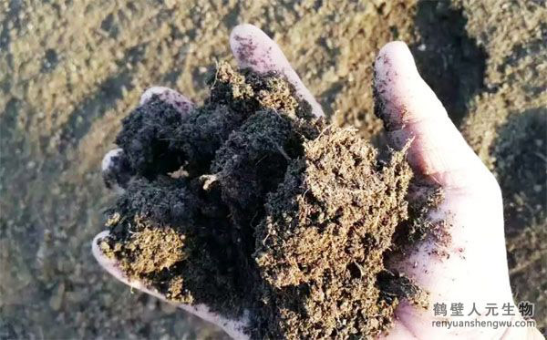 城市生活垃圾生產(chǎn)有機(jī)肥操作工藝 城市生活垃圾生產(chǎn)有機(jī)肥操作工藝